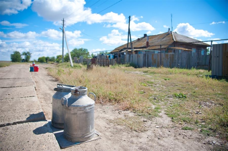 Алтайские закупщики сырого молока подозреваются в ценовом сговоре